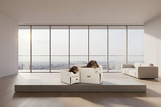 Portable dog and cat car seat bed for small pets