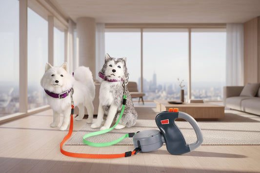 Retractable dual dog leash for walking two dogs